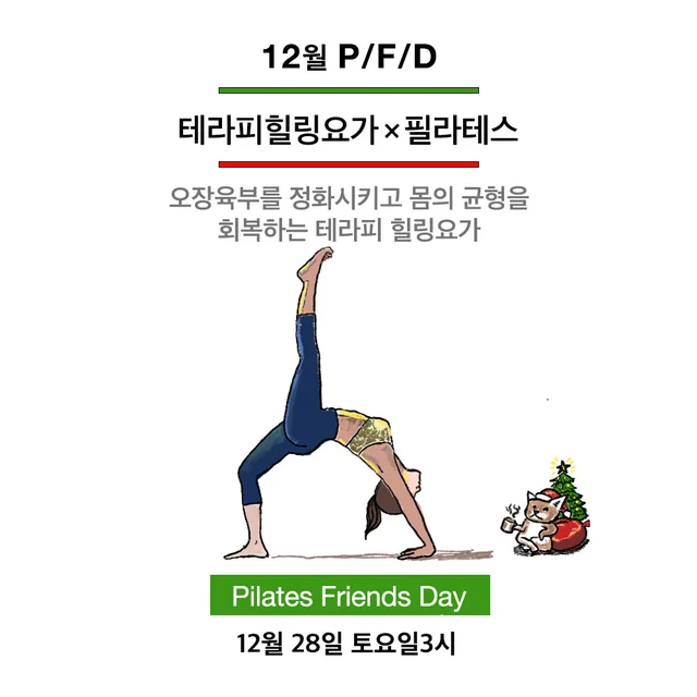 2024 12월 P/F/D 테라피힐링요가 × 필라테스